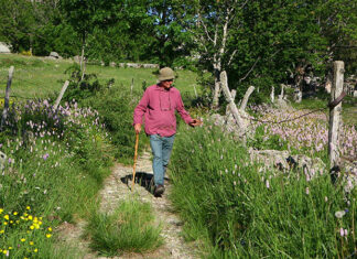 Le bien-être en herbes