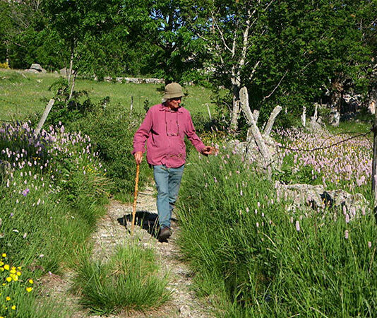 Le bien-être en herbes