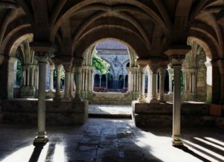 Les roseaux de pierre les roseaux de pierre