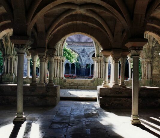 Les roseaux de pierre les roseaux de pierre