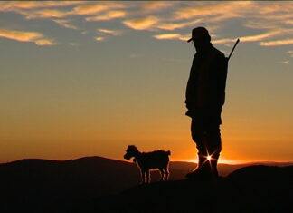 Les semelles de poussière
